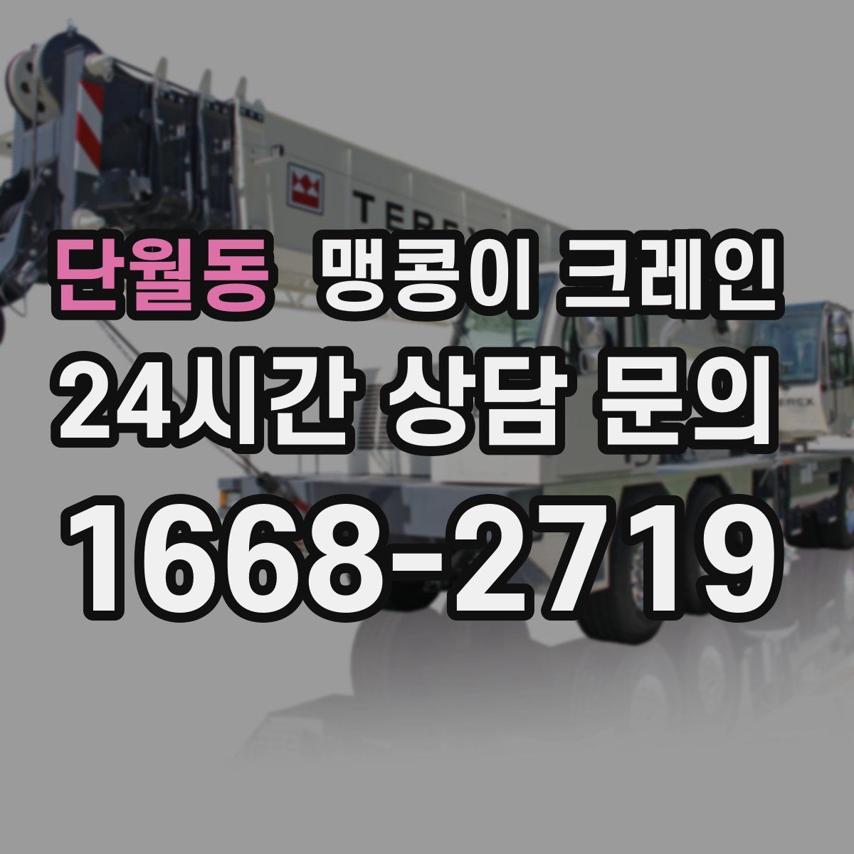 단월동 맹콩이 크레인