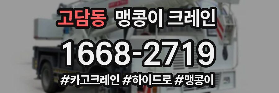 고담동 맹콩이 크레인