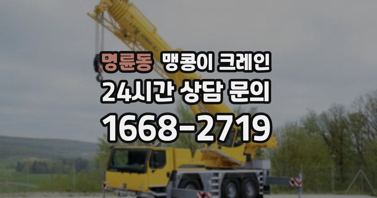 명륜동 맹콩이 크레인