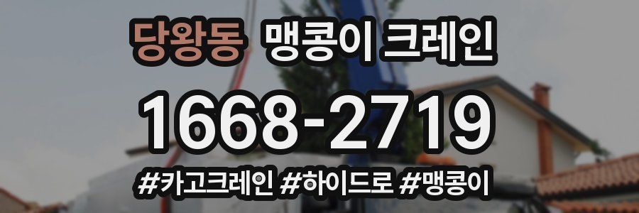 당왕동 맹콩이 크레인