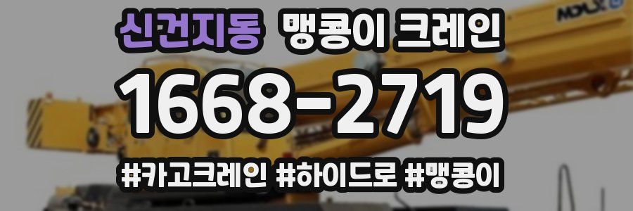 신건지동 맹콩이 크레인