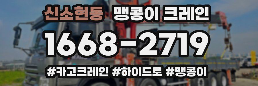 신소현동 맹콩이 크레인