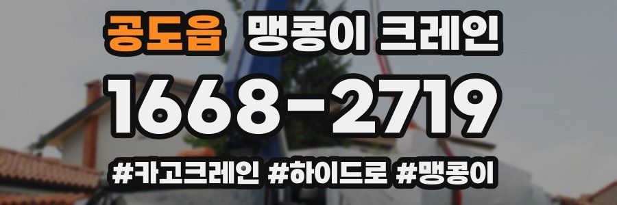 공도읍 맹콩이 크레인