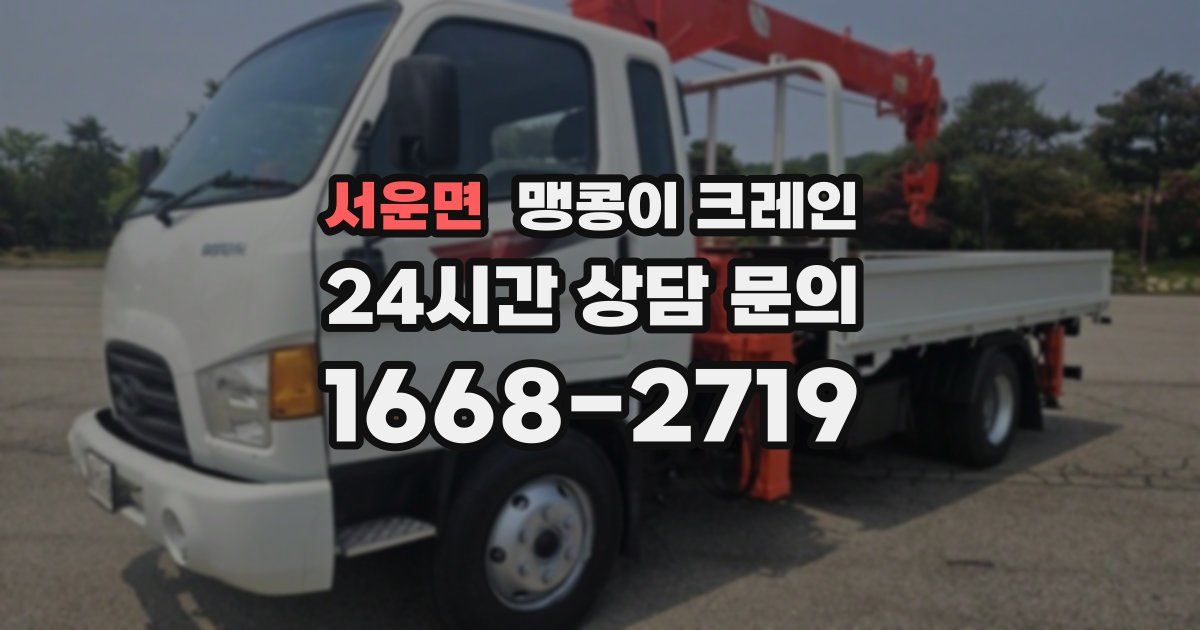 서운면 맹콩이 크레인