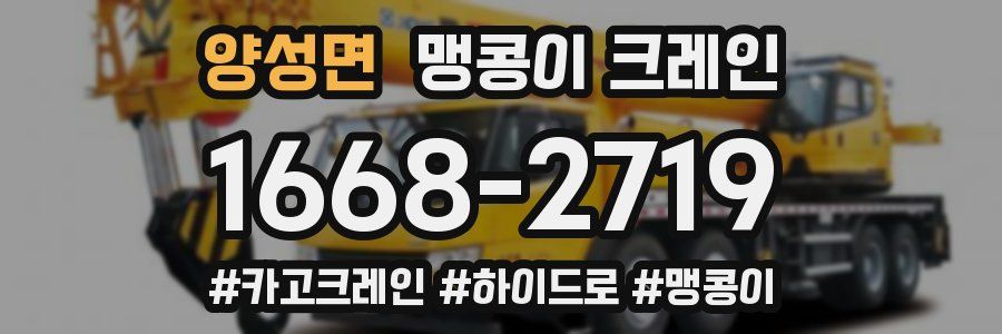 양성면 맹콩이 크레인