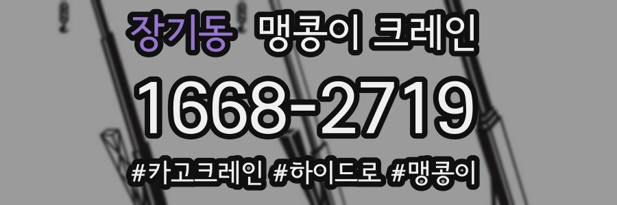 장기동 맹콩이 크레인