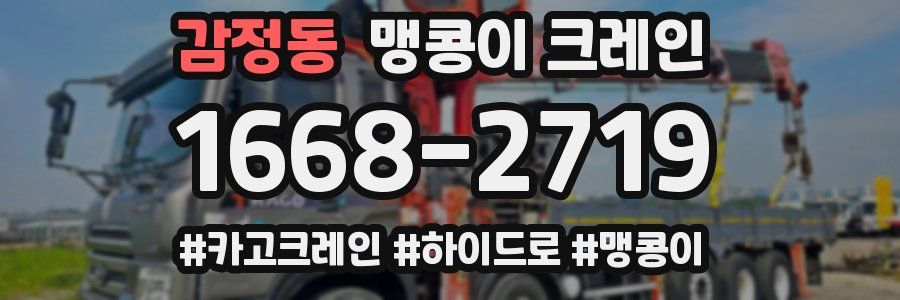 감정동 맹콩이 크레인