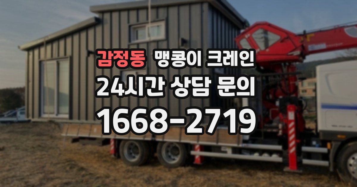 감정동 맹콩이 크레인