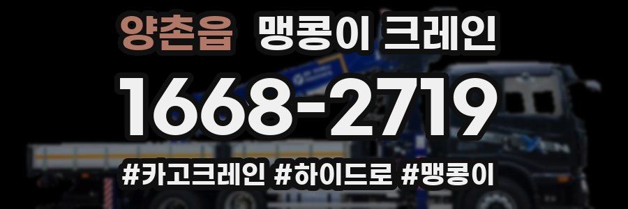 양촌읍 맹콩이 크레인