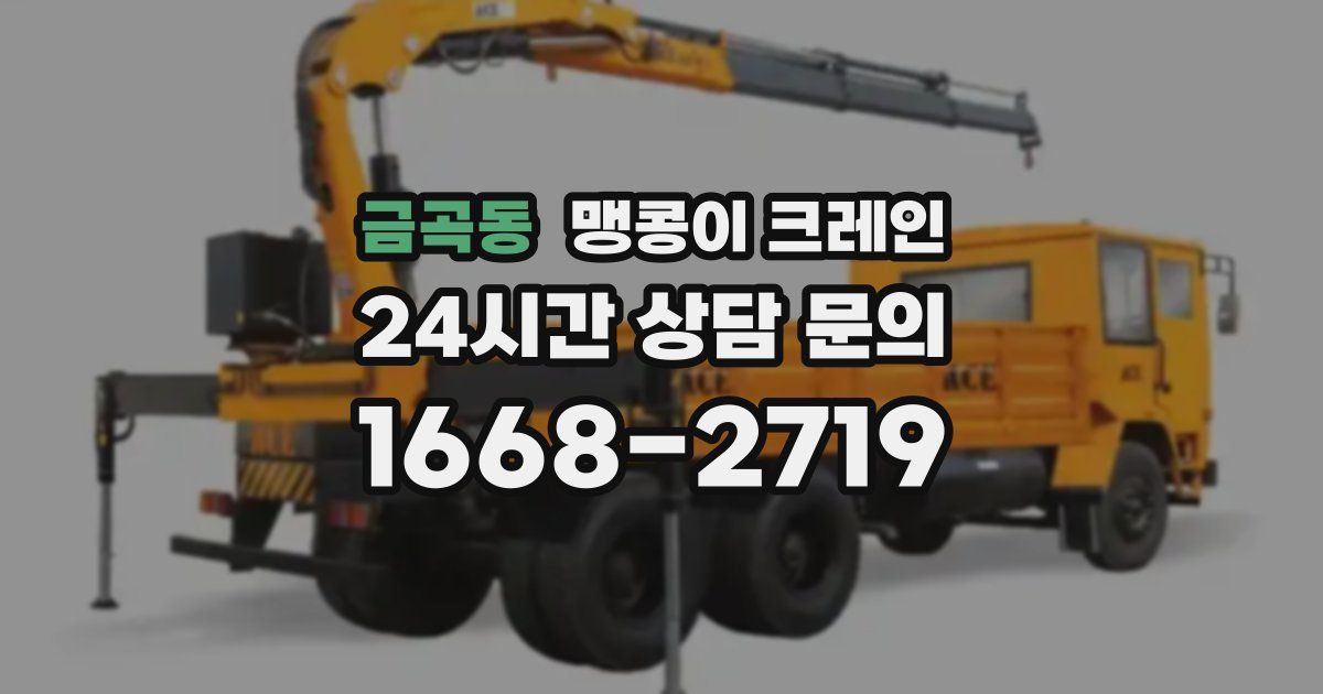 금곡동 맹콩이 크레인
