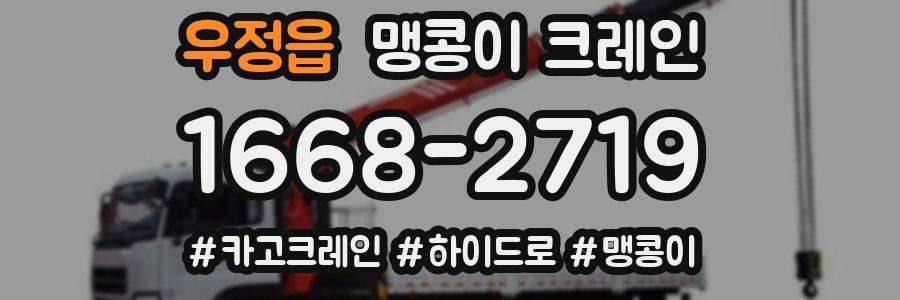 우정읍 맹콩이 크레인