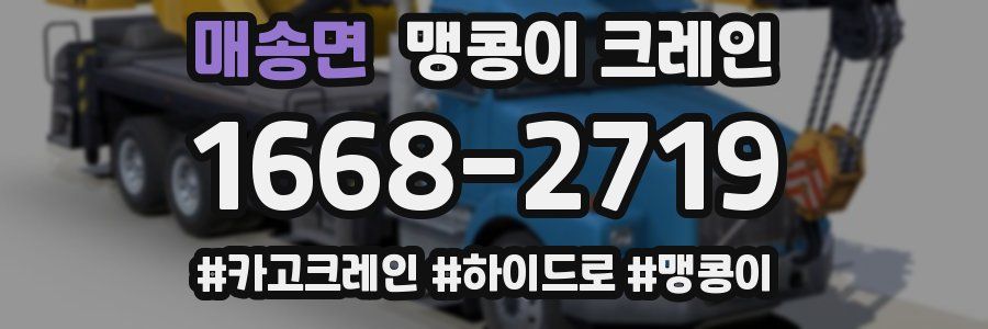 매송면 맹콩이 크레인
