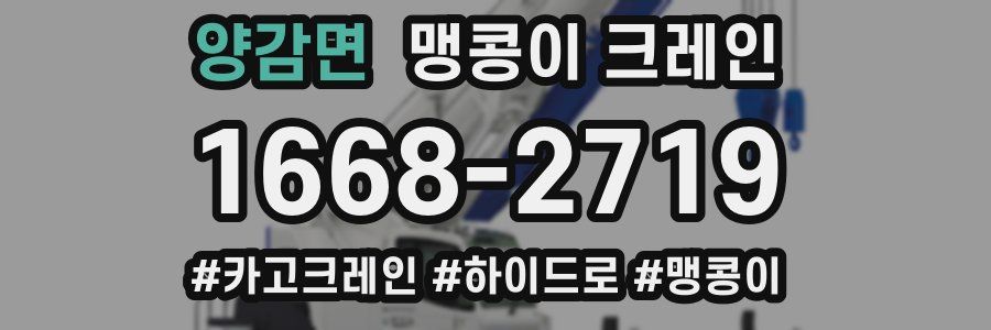 양감면 맹콩이 크레인