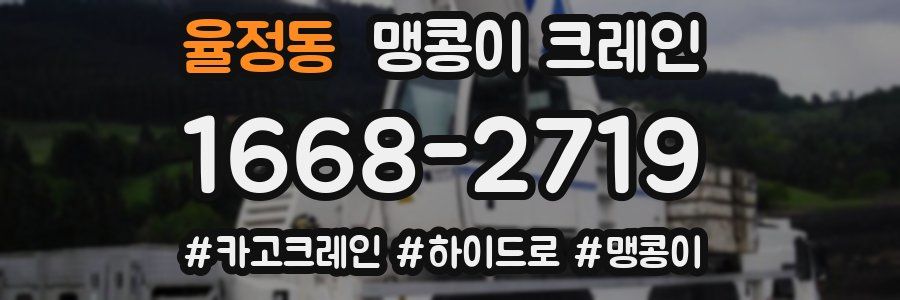 율정동 맹콩이 크레인