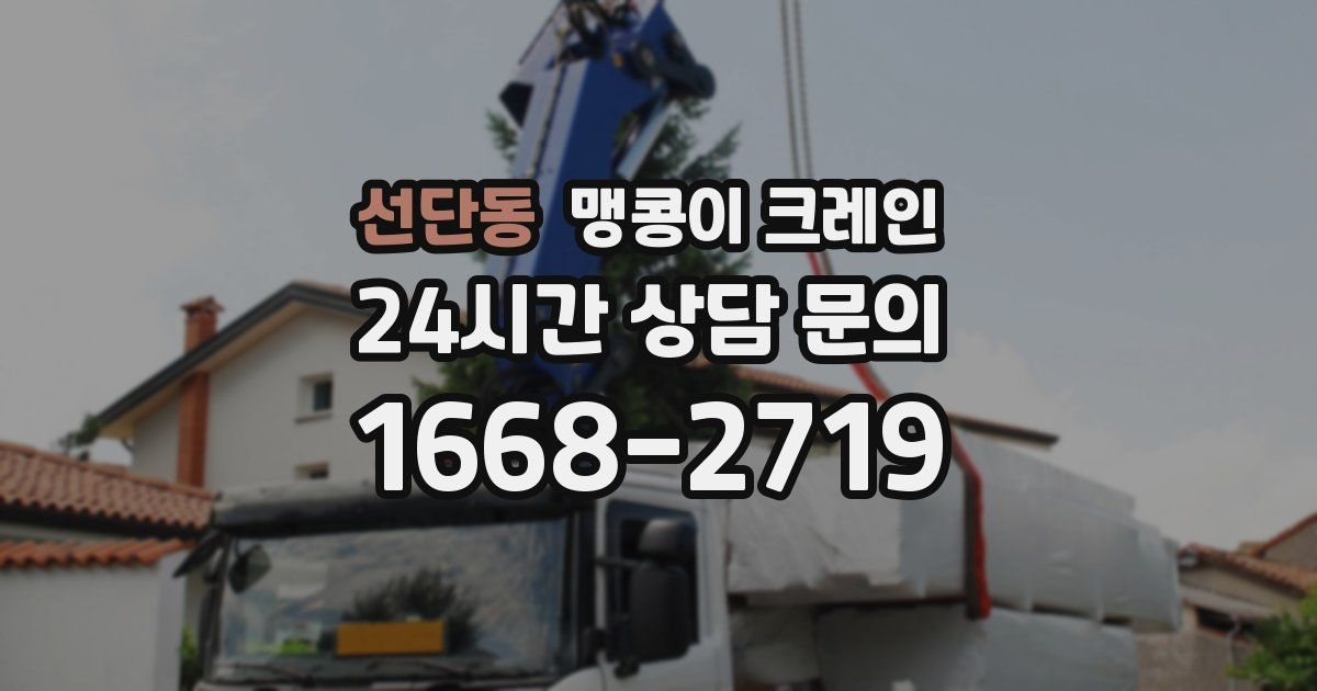 선단동 맹콩이 크레인