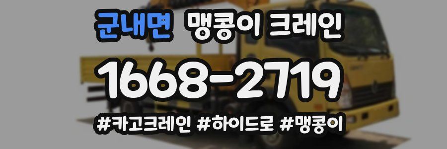 군내면 맹콩이 크레인