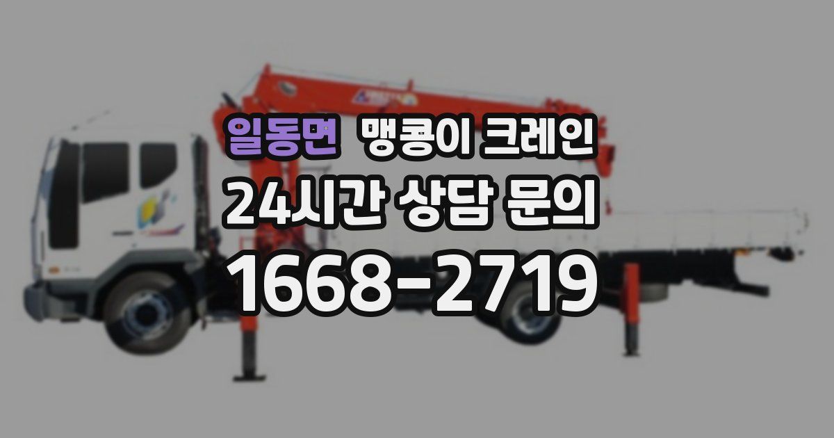 일동면 맹콩이 크레인