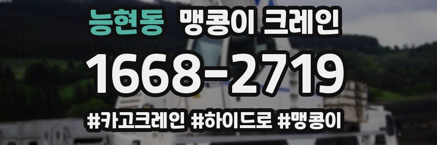 능현동 맹콩이 크레인