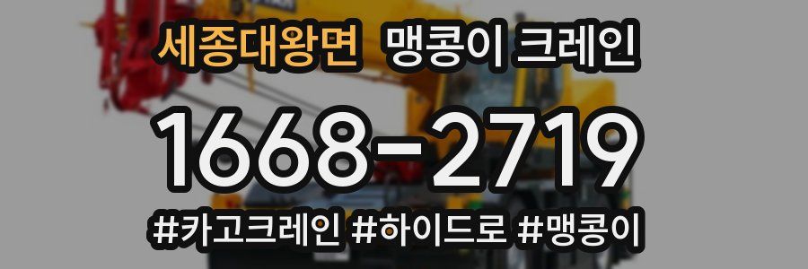 세종대왕면 맹콩이 크레인