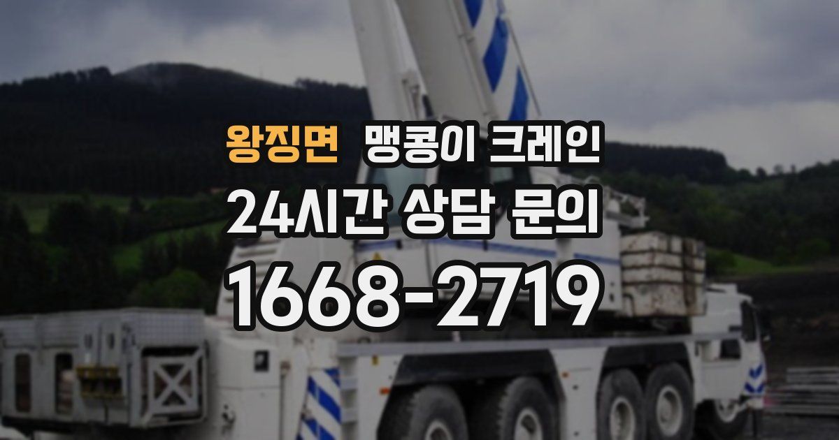 왕징면 맹콩이 크레인