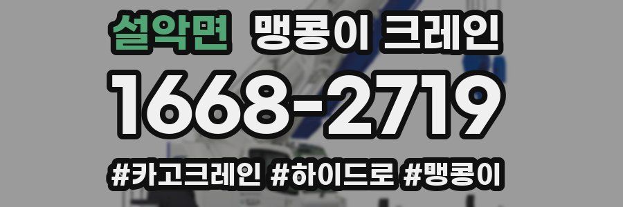 설악면 맹콩이 크레인