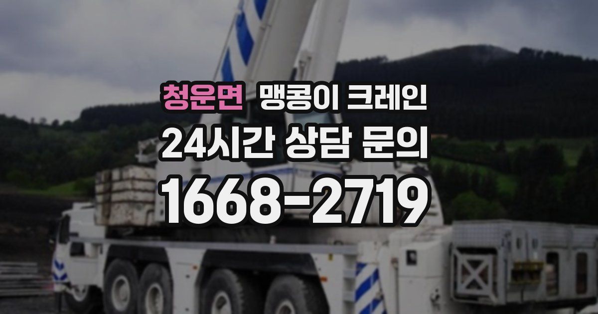 청운면 맹콩이 크레인