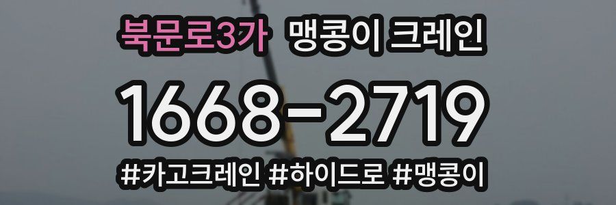 북문로3가 맹콩이 크레인
