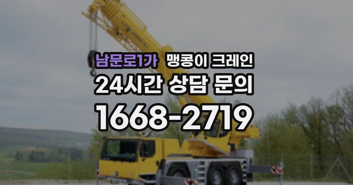 남문로1가 맹콩이 크레인