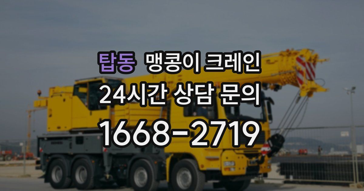 탑동 맹콩이 크레인