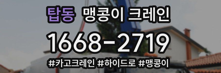 탑동 맹콩이 크레인