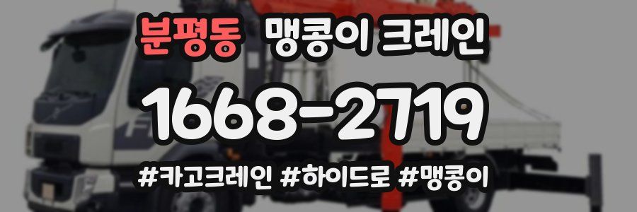 분평동 맹콩이 크레인