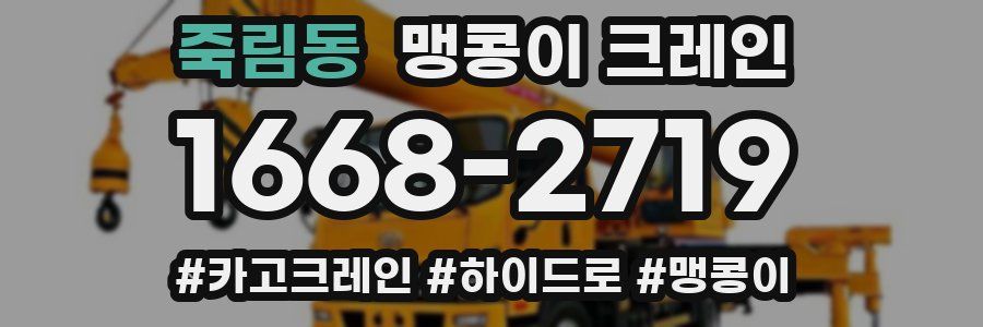 죽림동 맹콩이 크레인