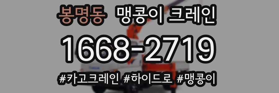 봉명동 맹콩이 크레인