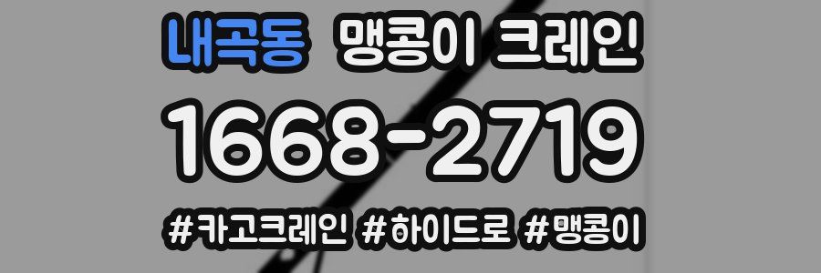 내곡동 맹콩이 크레인