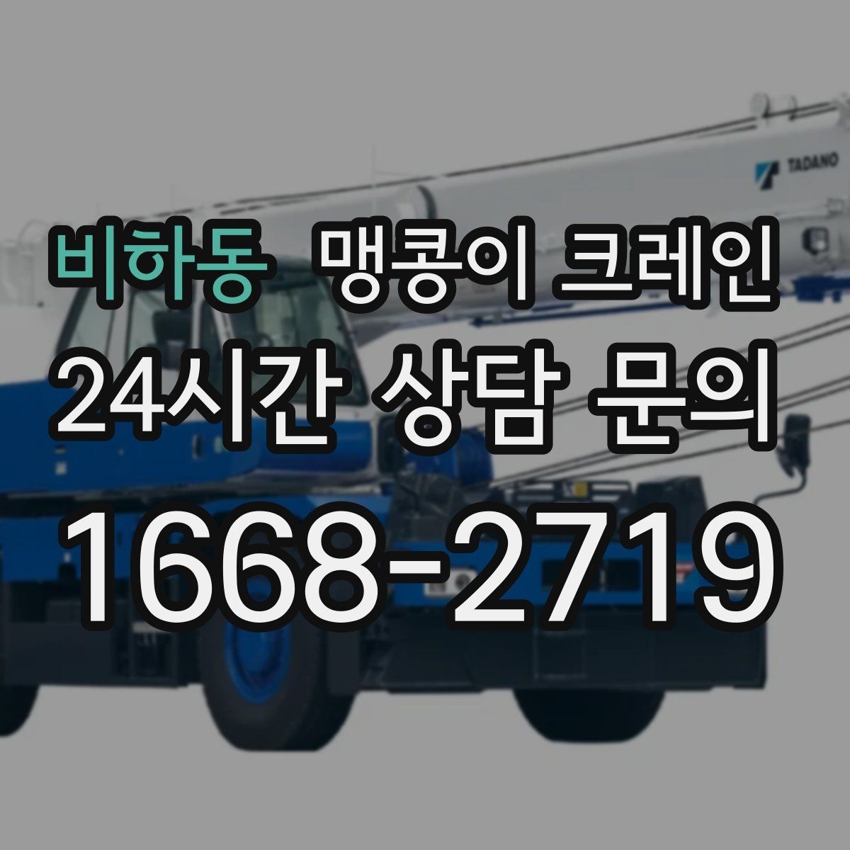 비하동 맹콩이 크레인 공사장 출입이 까다로운 곳에서 유리한 이유