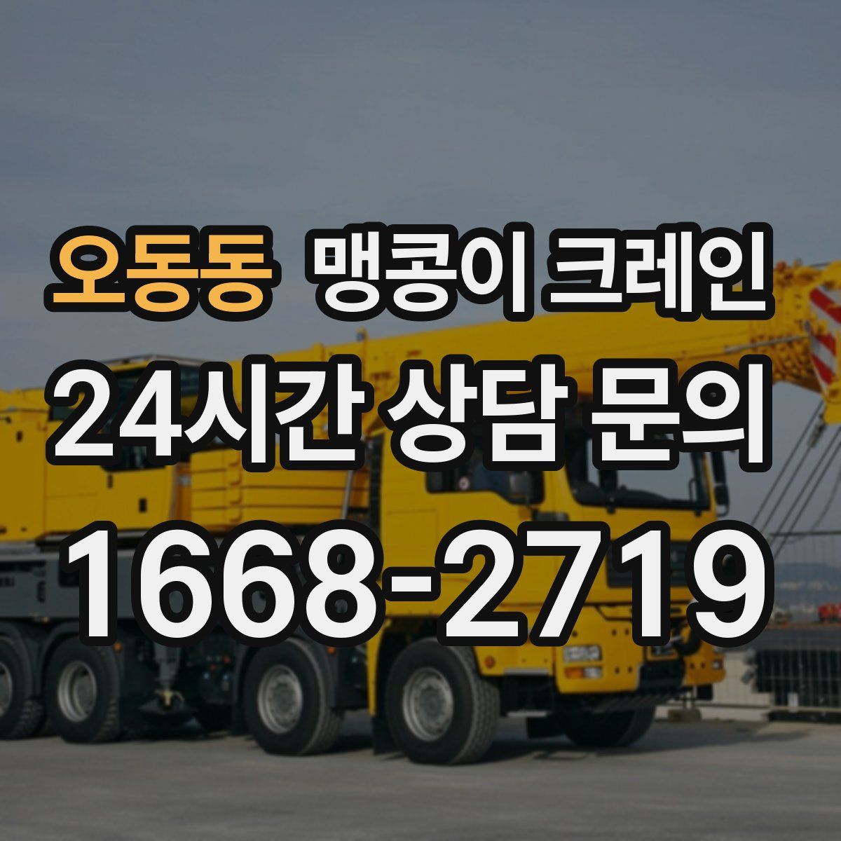 오동동 맹콩이 크레인