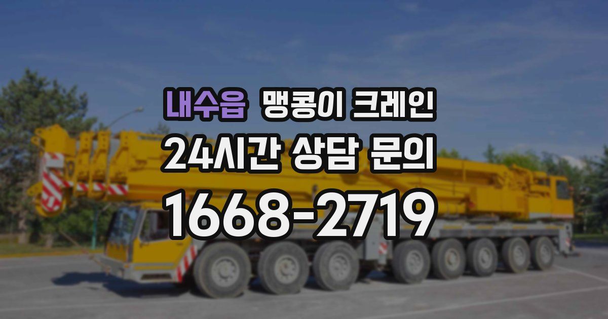 내수읍 맹콩이 크레인