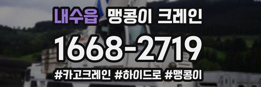 내수읍 맹콩이 크레인