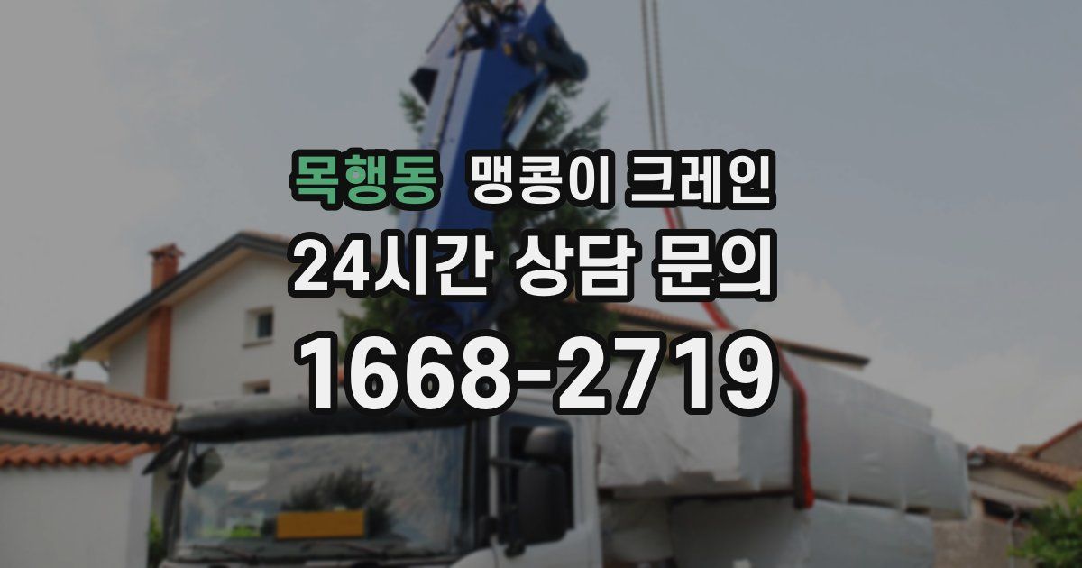 목행동 맹콩이 크레인