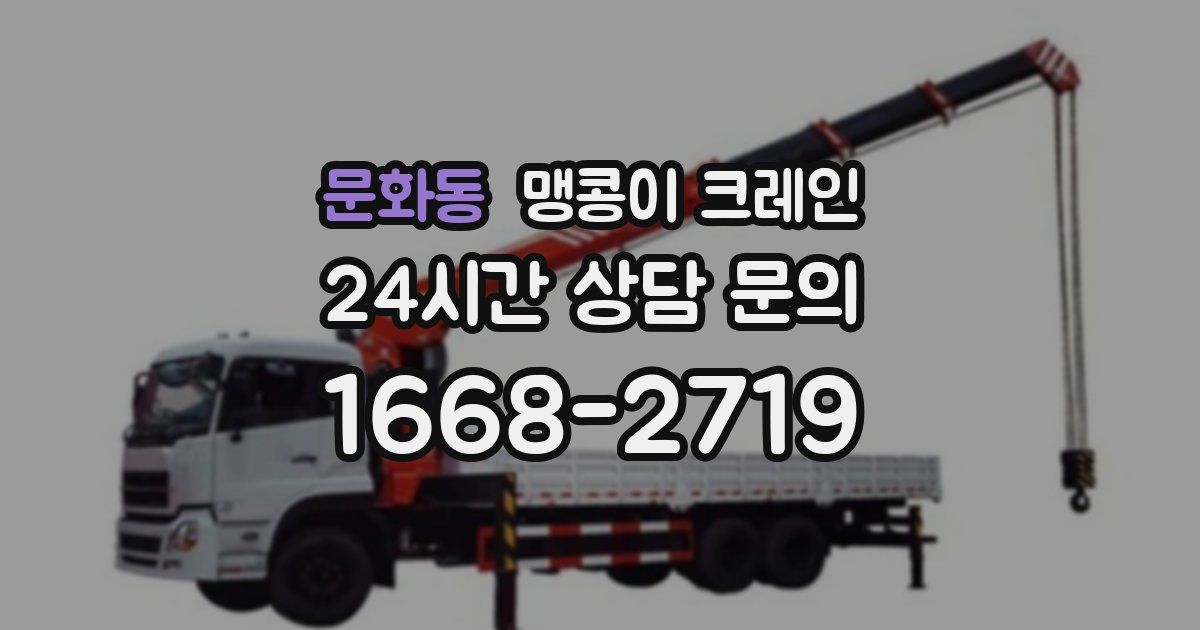 문화동 맹콩이 크레인