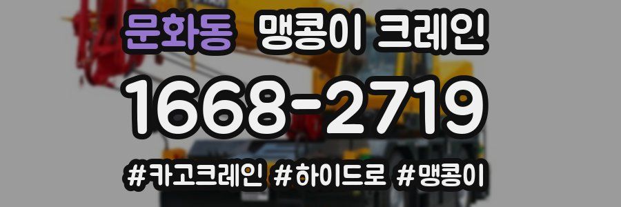 문화동 맹콩이 크레인