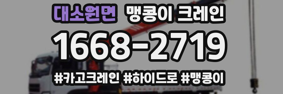 대소원면 맹콩이 크레인