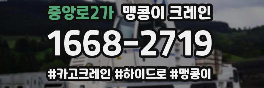 중앙로2가 맹콩이 크레인