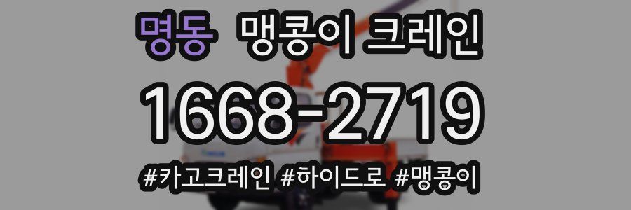 명동 맹콩이 크레인