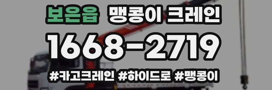 보은읍 맹콩이 크레인