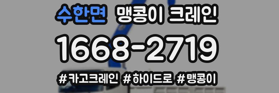 수한면 맹콩이 크레인