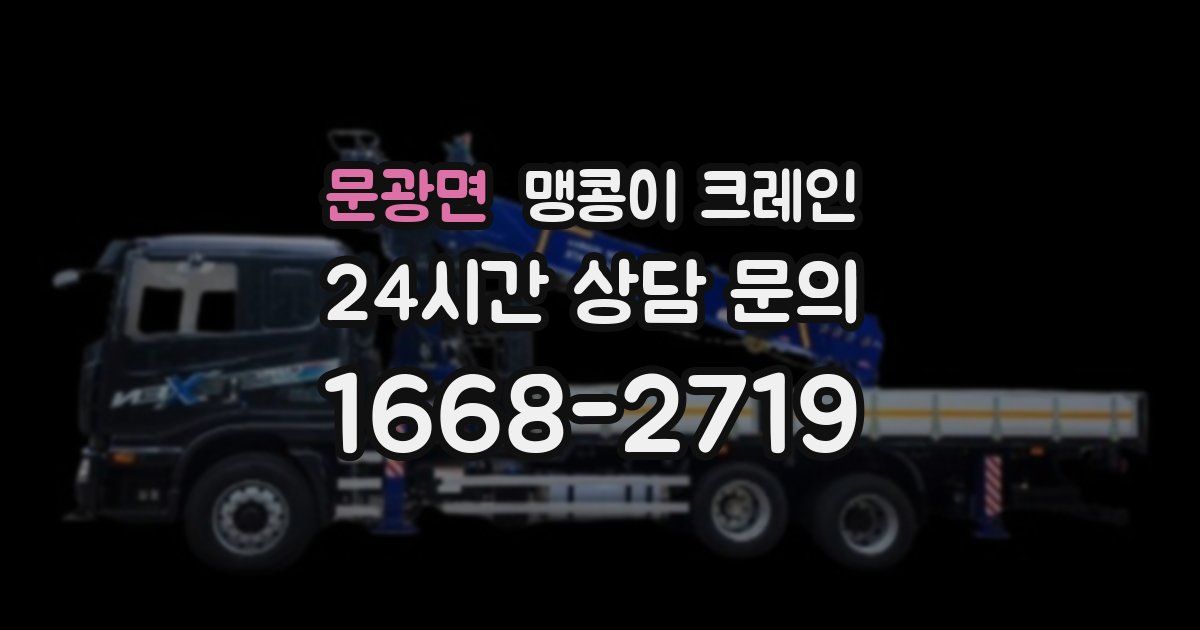 문광면 맹콩이 크레인