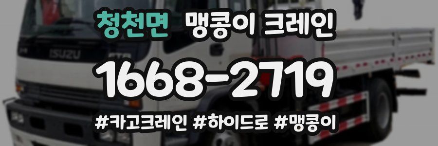 청천면 맹콩이 크레인