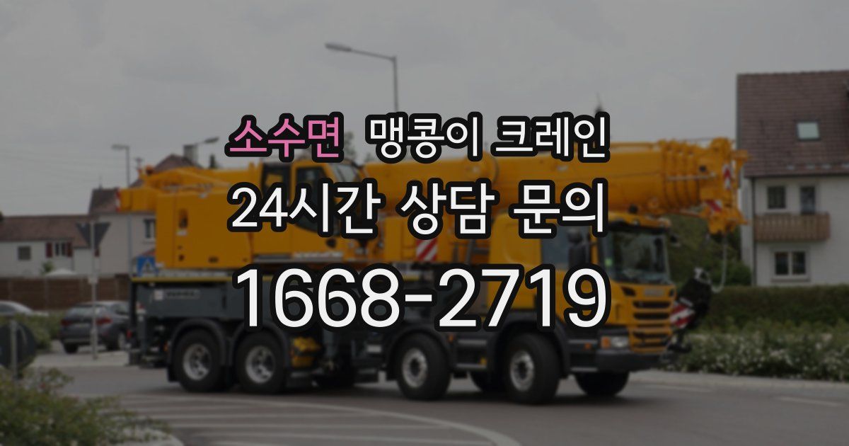 소수면 맹콩이 크레인