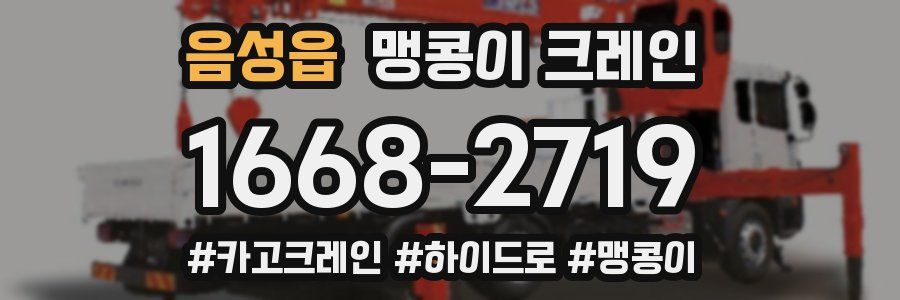 음성읍 맹콩이 크레인